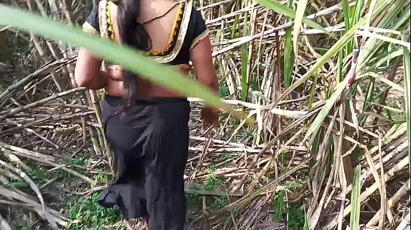 Desi step aunty outdoor sex sugarcane field me chudai